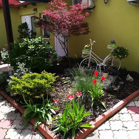 Hotel Hotel Palackeho 135 Melnik