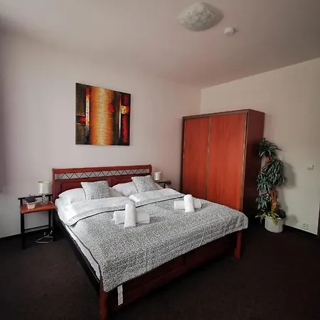 Hotel Hotel Palackeho 135